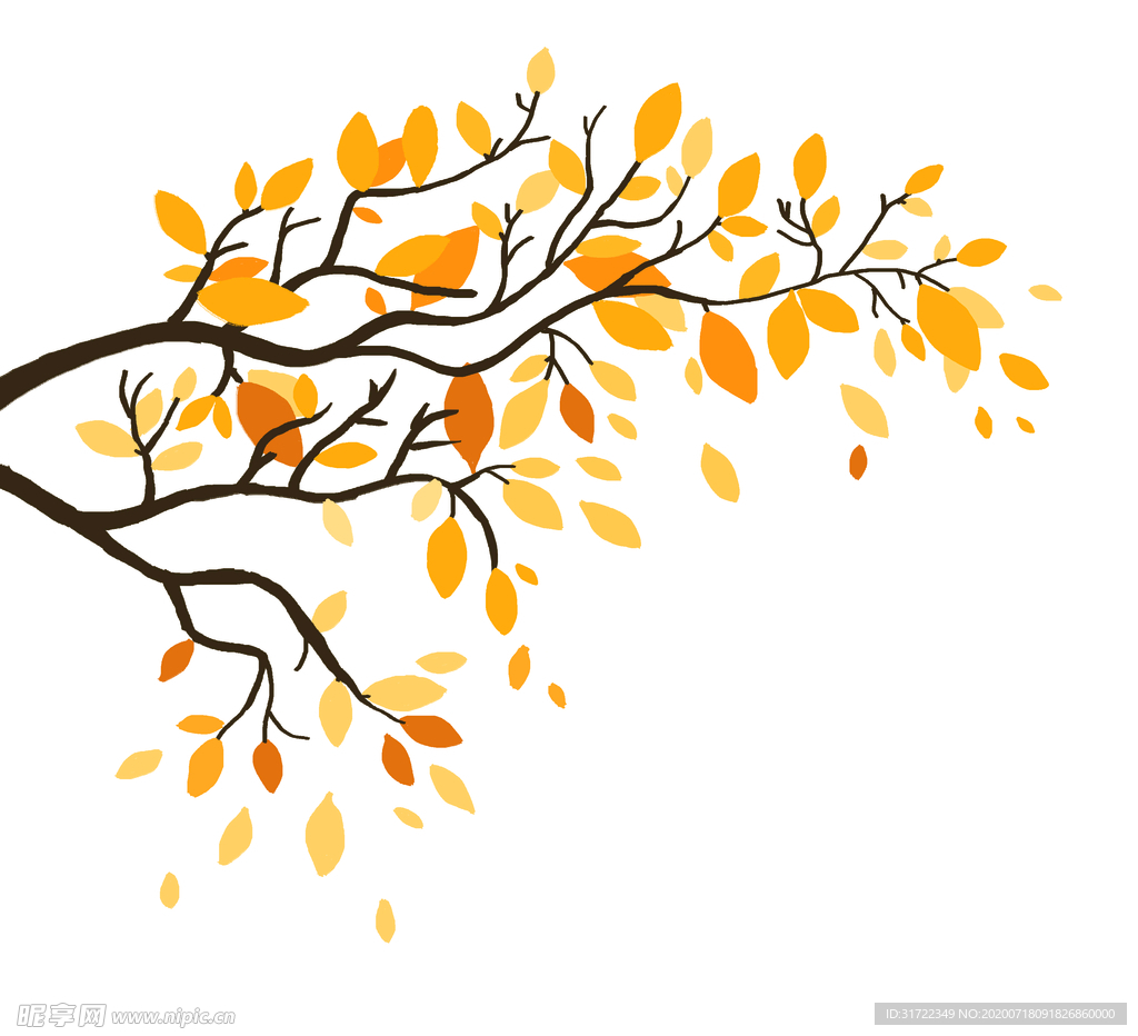 秋天 黄树叶 手绘 插画