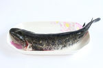 黑鱼河鱼鲜鱼火锅烧烤食材摄影图