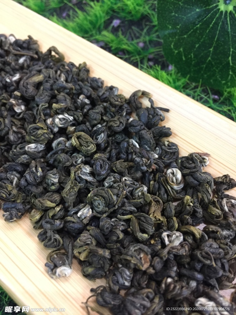 茉莉葉螺