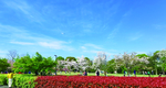 公園的天空