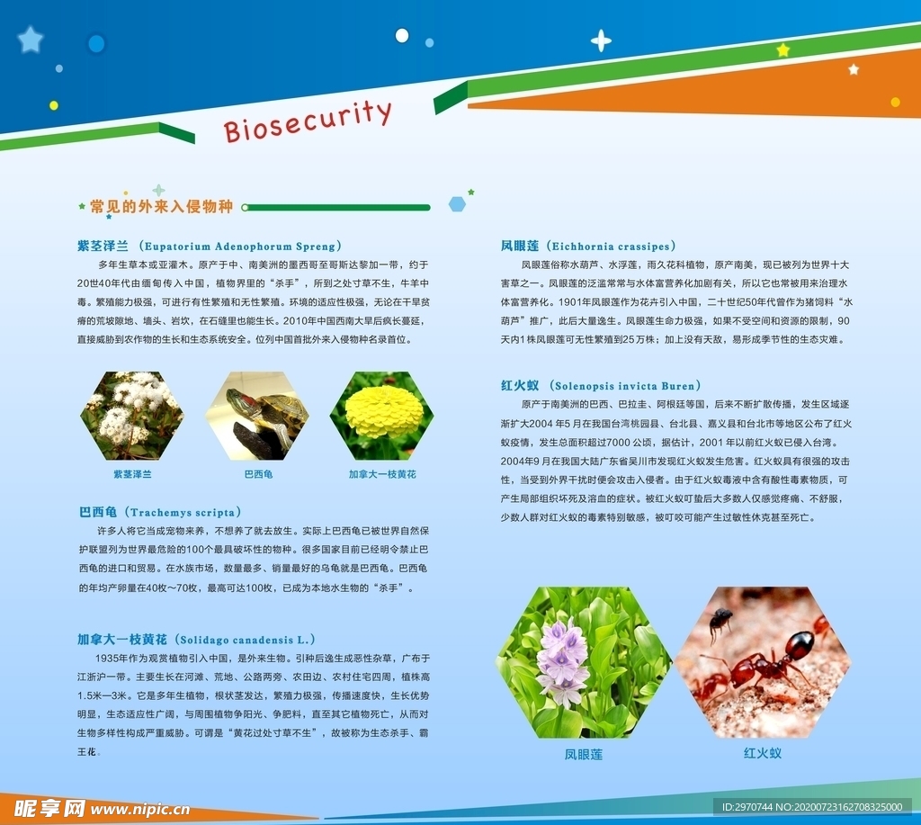 校園生物安全教育