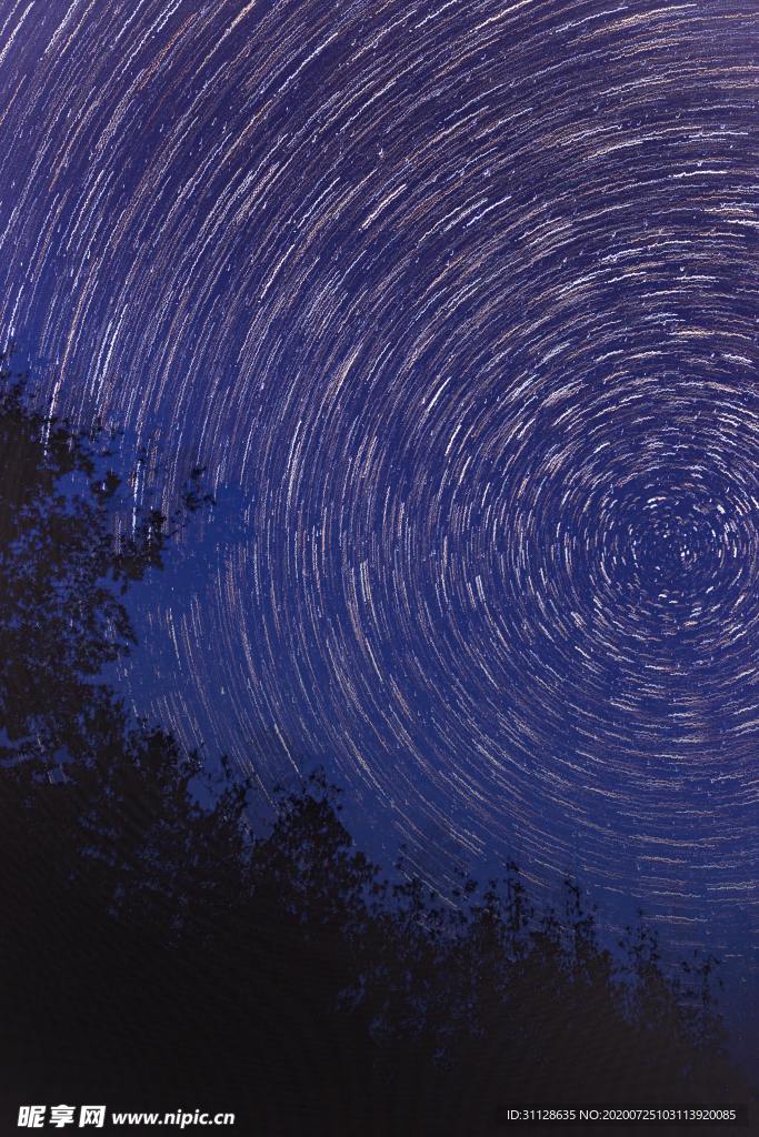 星空 樹木