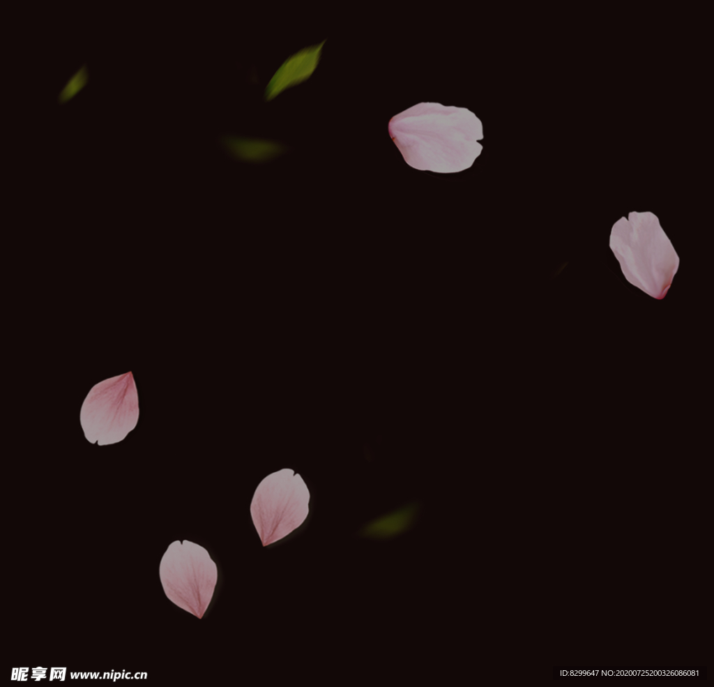 花瓣
