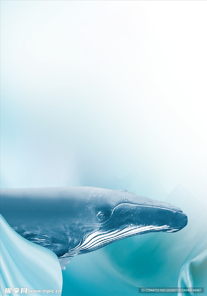 蓝色鲸鱼背景
