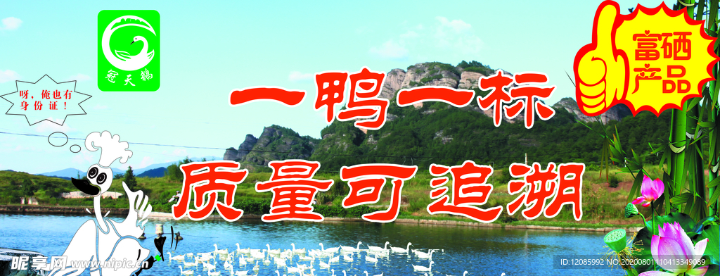 連城白鴨