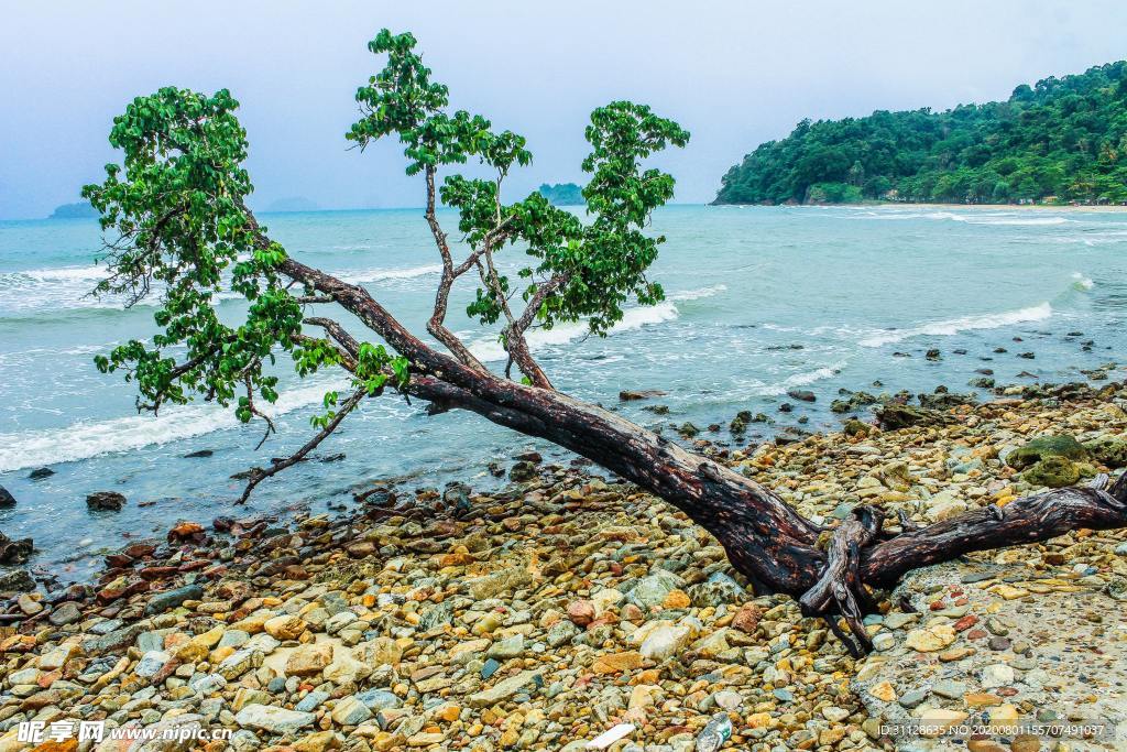 海水 山脈 海灘