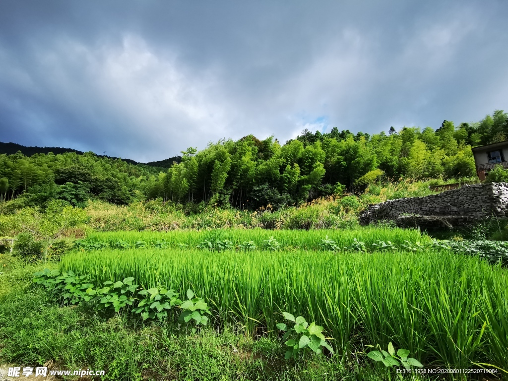 美丽乡村