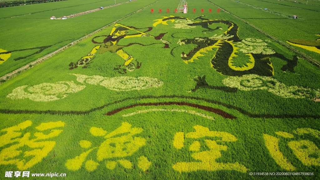 稻漁空間