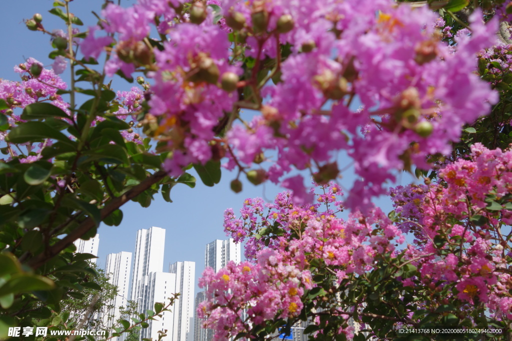 城市小區建設