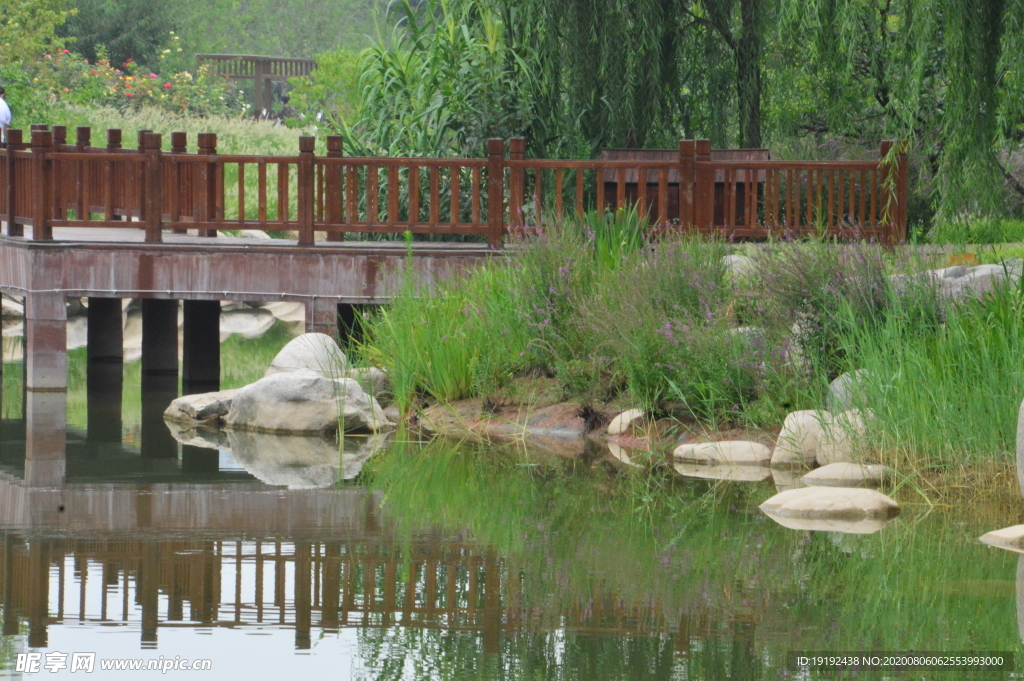 園林風景