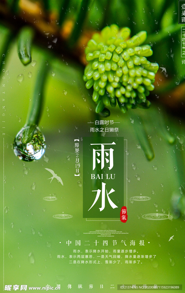 简约中国雨水海报