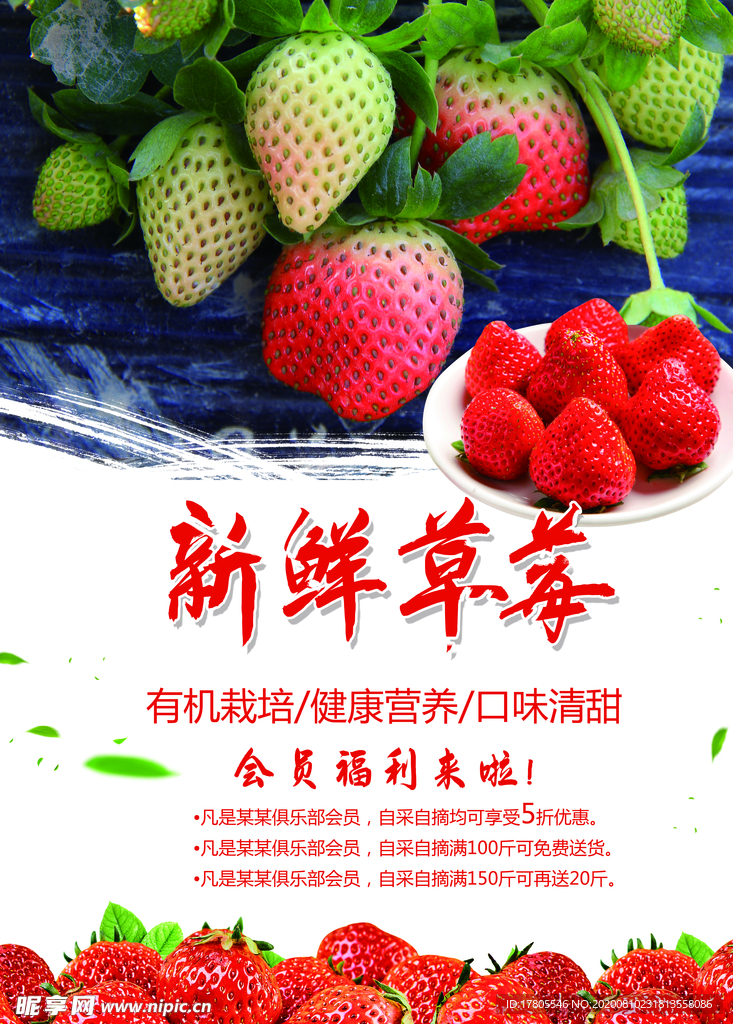 水果海报 水果素材 蔬菜素材