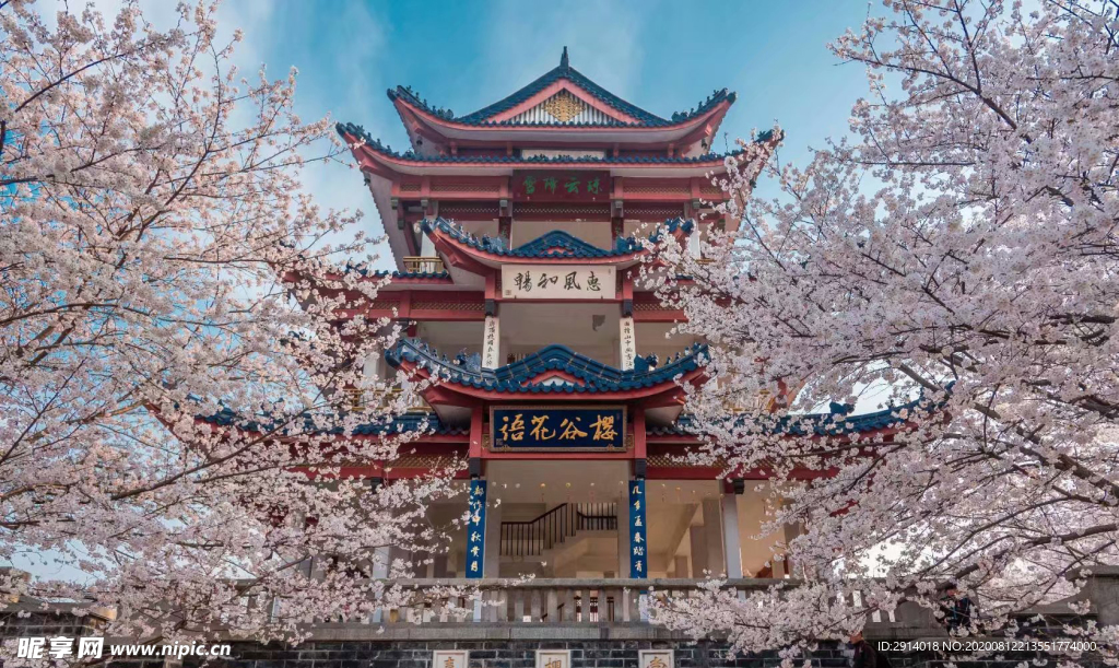 櫻花