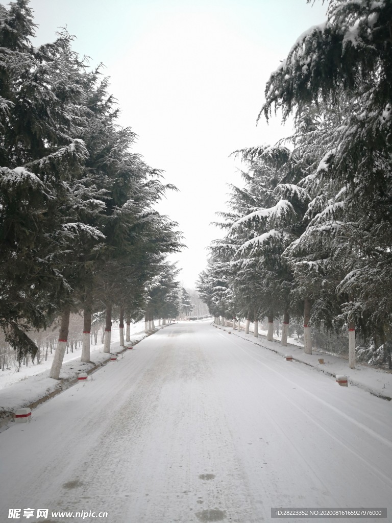 冬季雪景素材