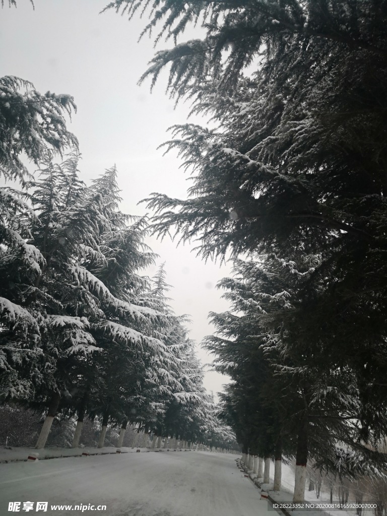 美麗雪景圖片