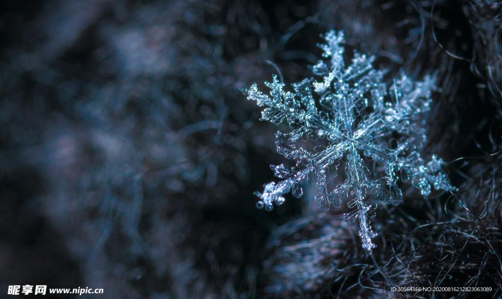 雪花冰晶冬季自然生態(tài)背景素材
