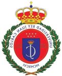 胡安卡洛斯国王大学-logo