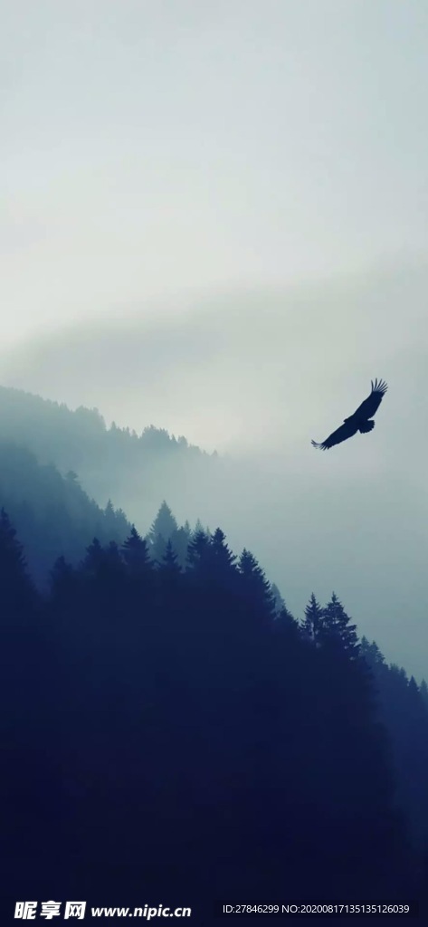 侧面的山翱翔的雄鹰