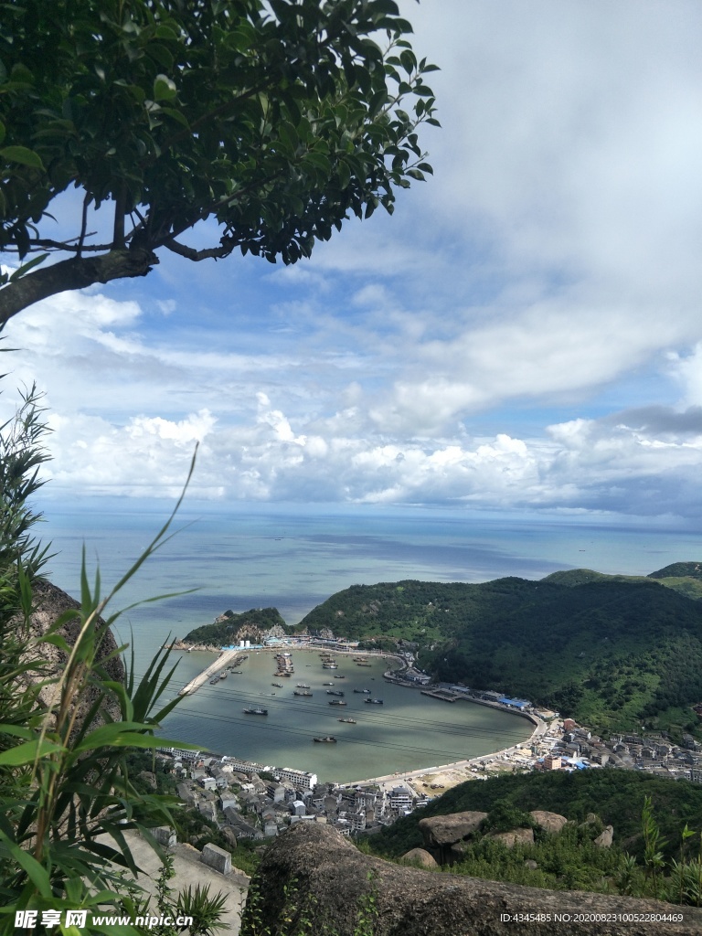 夏日繽紛