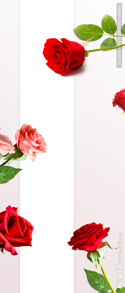 玫瑰花元素海报