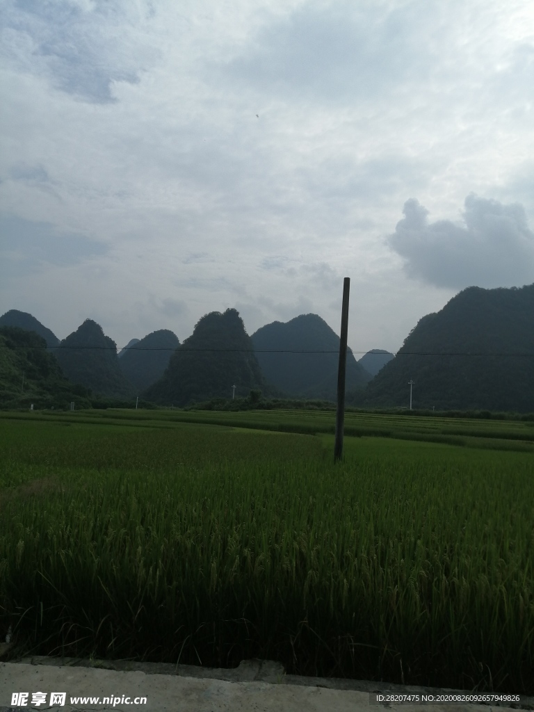 自然