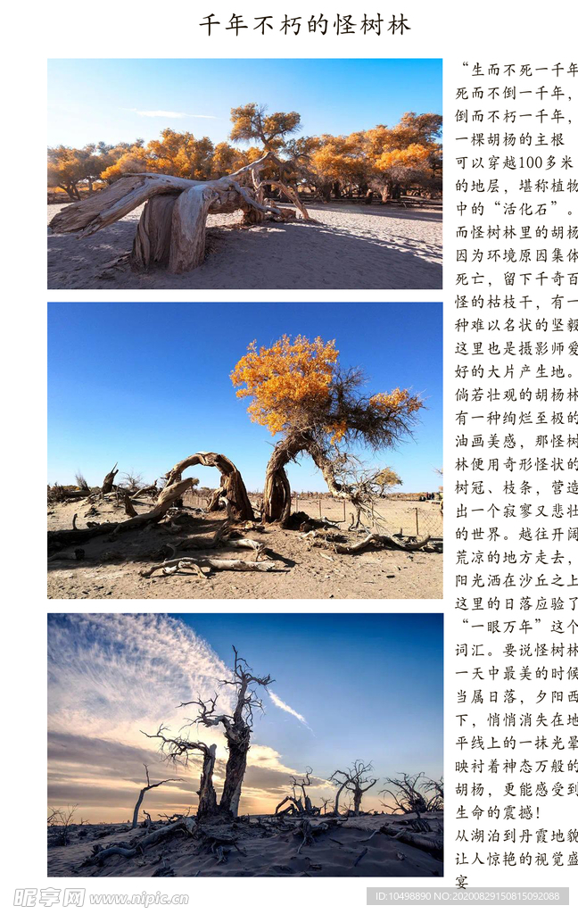 怪樹(shù)林