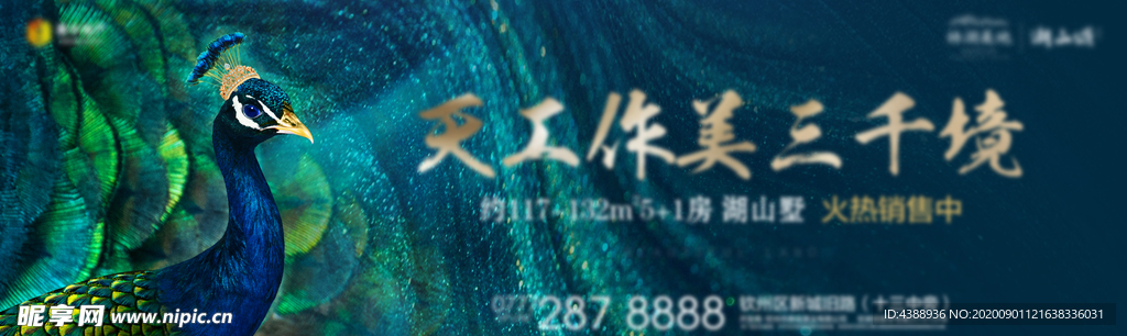 孔雀戶外