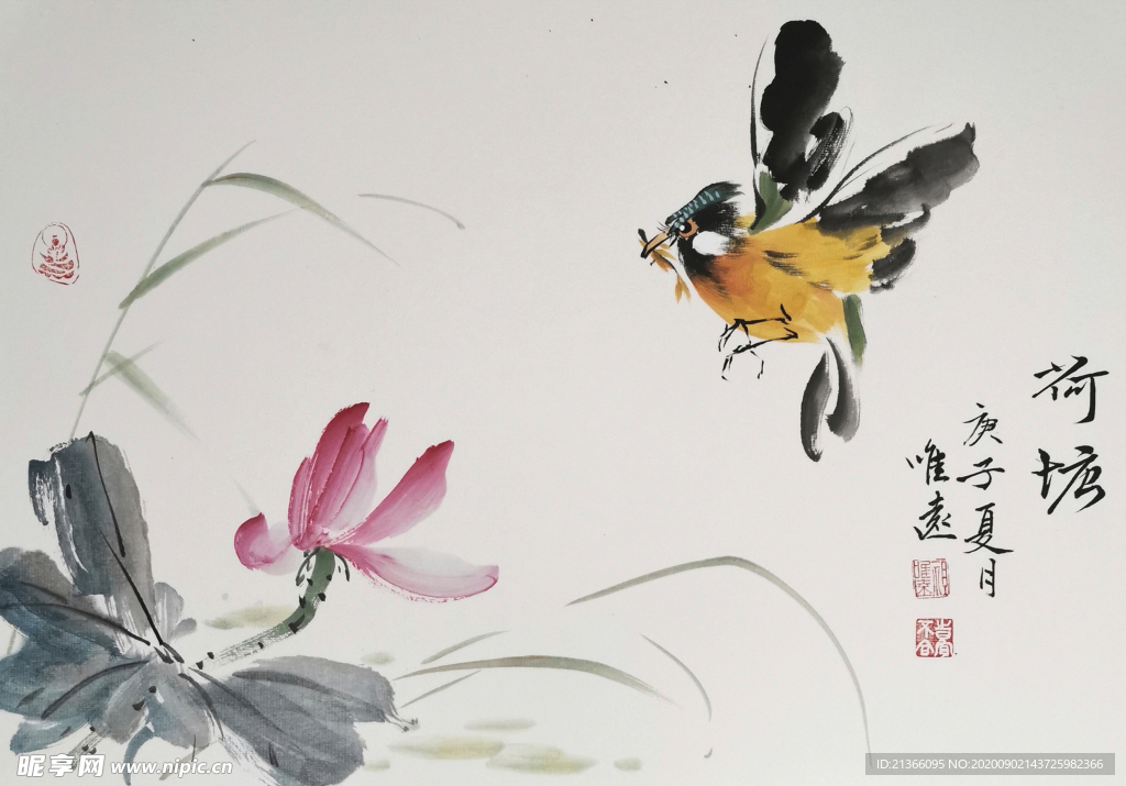 中国水墨手绘花鸟图