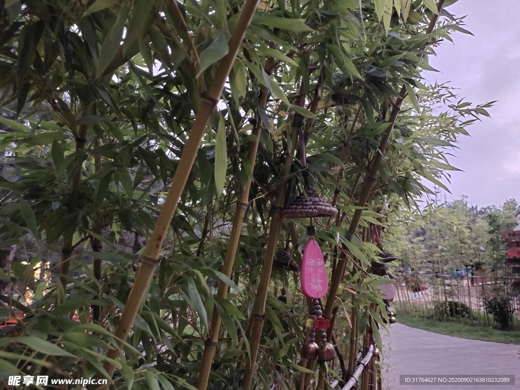 竹林里的風(fēng)鈴