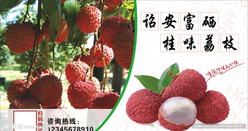 桂味荔枝貼紙