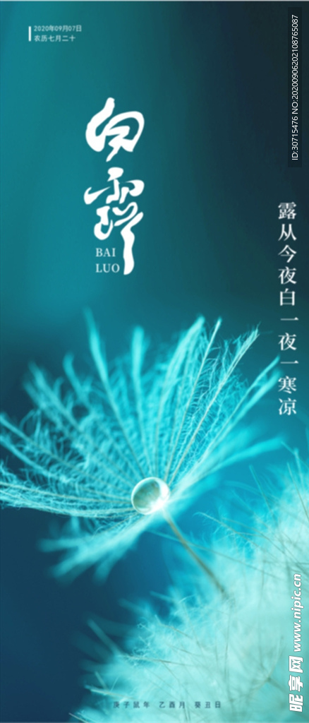 白露