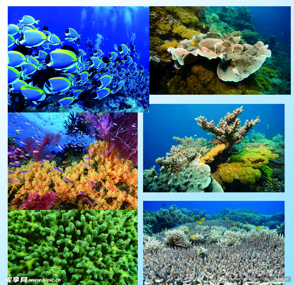 海底世界素材