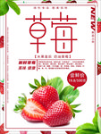 草莓 草莓采摘 草莓海报图片