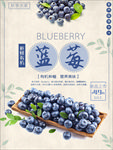 蓝莓 蓝莓海报图片