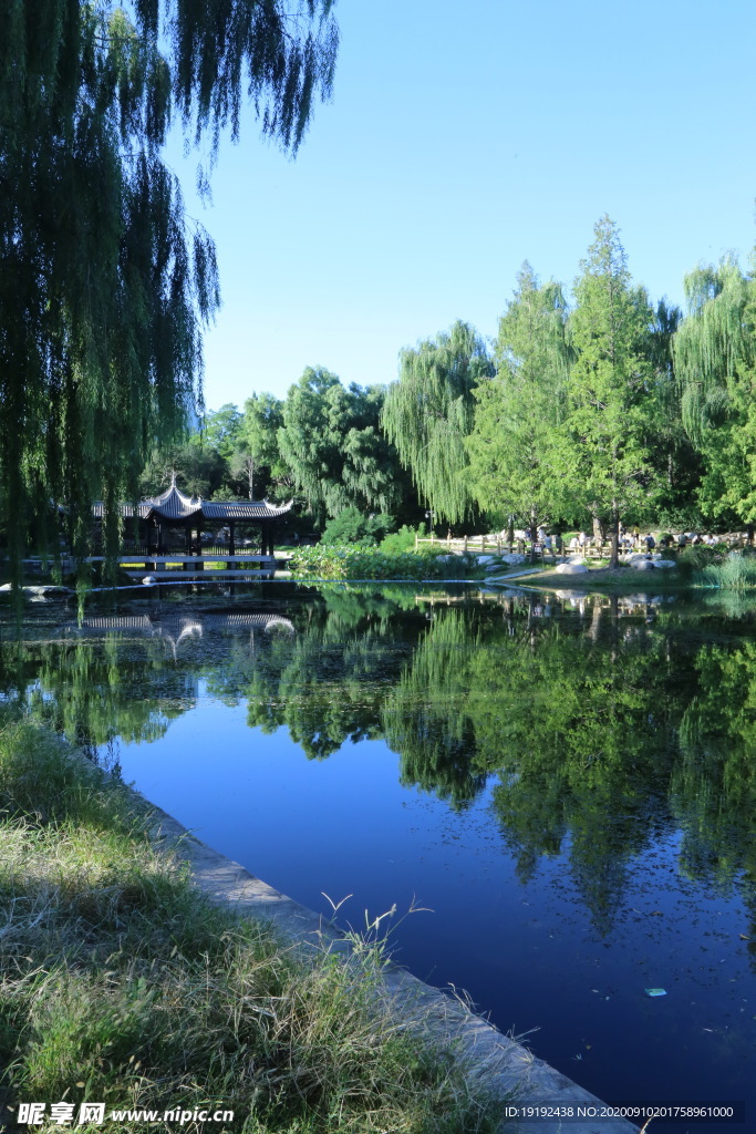 园林风景