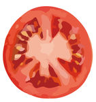 番茄西红柿水果蔬菜切片矢量图