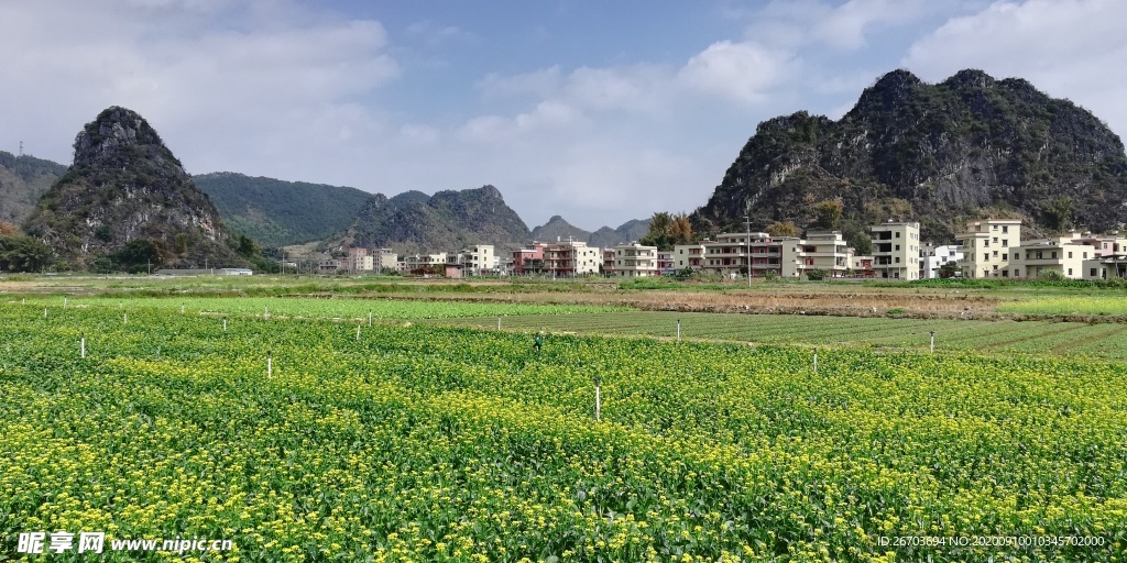 田園風景