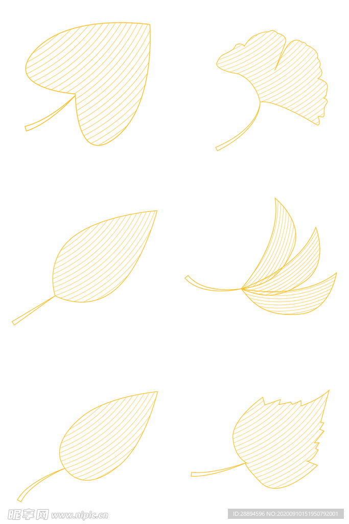 金色线条叶脉叶子