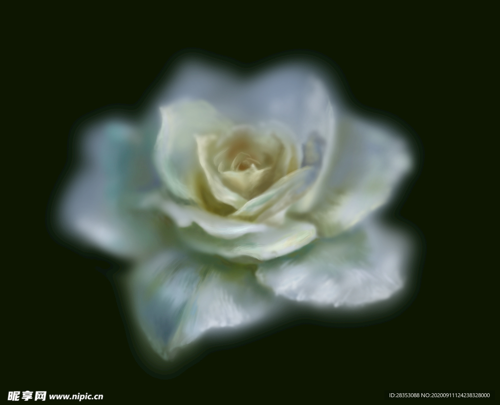 白玫瑰免抠油画手绘写实唯美朦胧