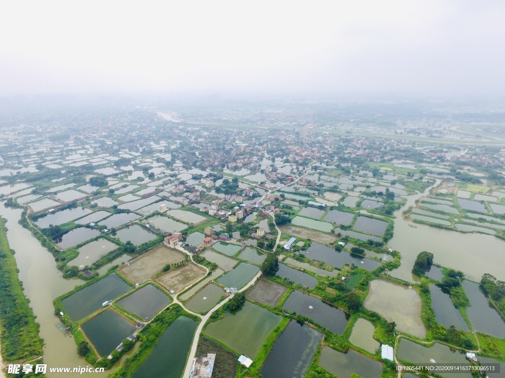 航拍江门鹤山古劳水乡