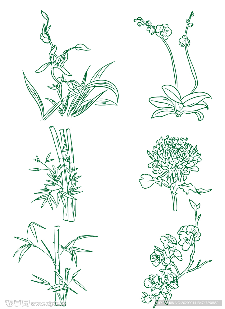 梅兰竹菊植物线稿