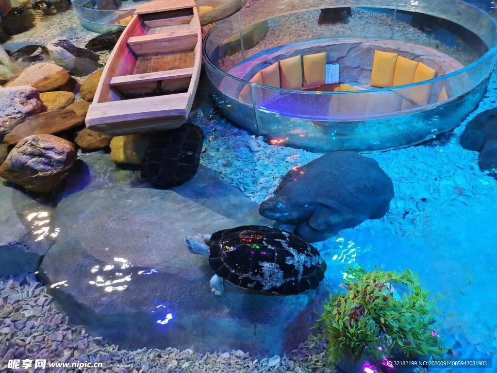 海洋館