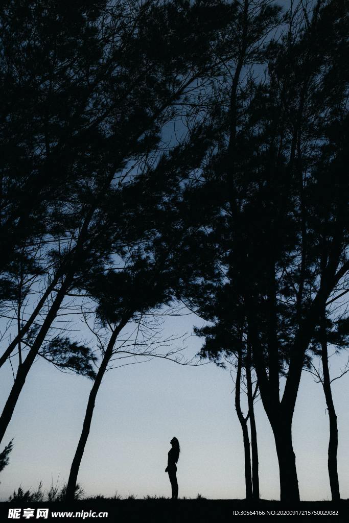 樹林森林人物孤單黑夜素材