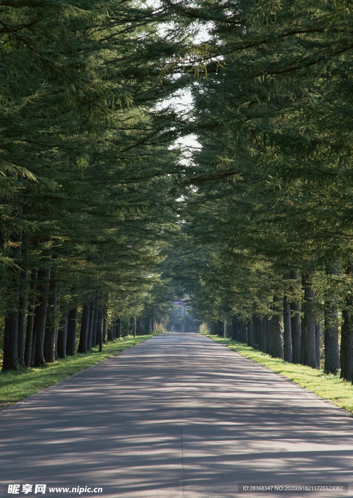 林間小路