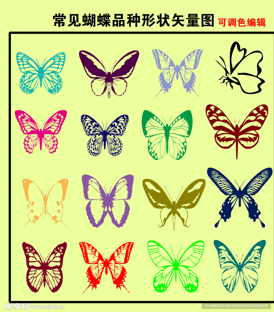 常见蝴蝶品种图