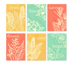 热带植物卡片