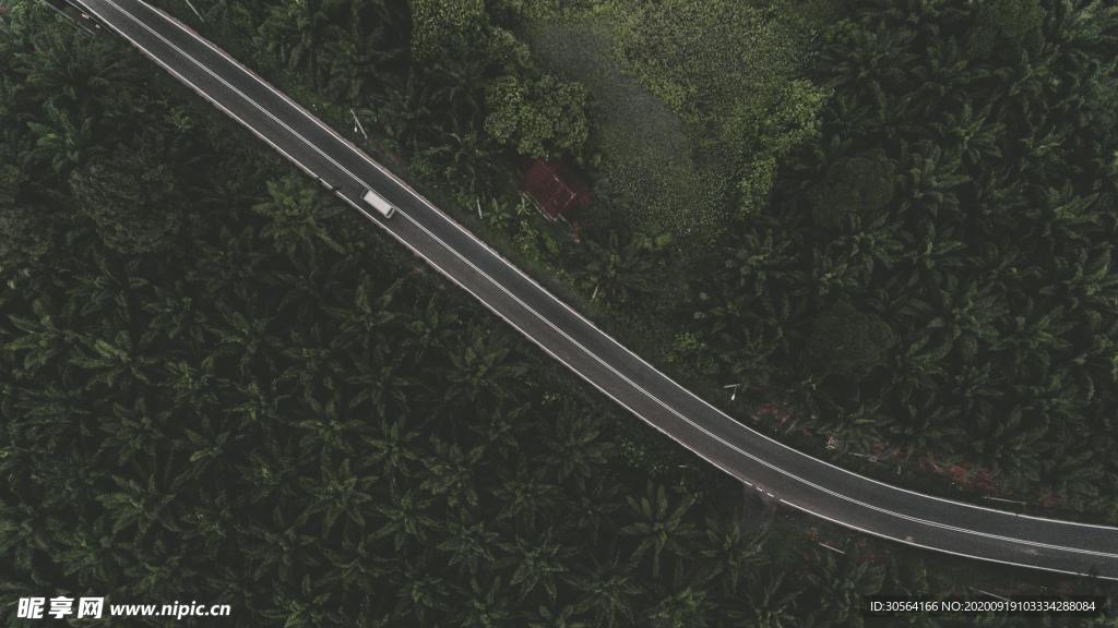公路道路高速森林背景素材