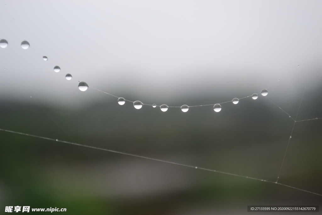 雨滴