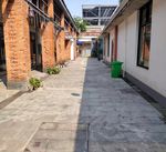 夏日節(jié)奏