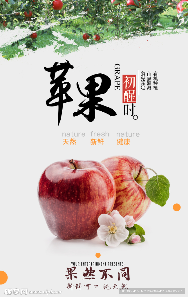 苹果水果活动宣传海报素材
